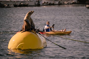 Single Kayak Rental in Mission Bay