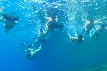 Private Mykonos Nature Tour by Minibus 