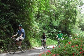 Blue Mountain Bicycle Hike & Bike Tour from Runaway Bay