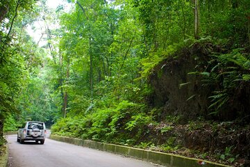 Ocho Rios Sightseeing, Beach Half-Day Tour (Admission include)