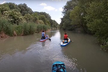 2 days paddling in the labyrinth of interior Danube delta