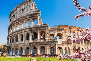 Colosseum Walking Tour with Roman Forum and Palantine Hill Access