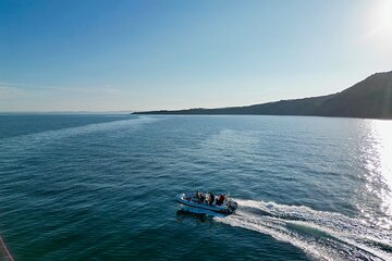 Jurassic Coast Tour