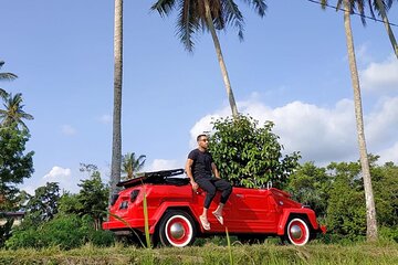 7 Hours Private Tour in Ubud with Classic Car