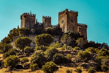 Guided visit to Córdoba and Almodóvar Castle