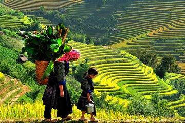 Sapa 3 Days Trekking Tour by Bus (1 Night Homestay 1 Night Hotel)