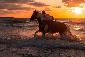 2-Hour Horse Riding Adventure on The Sea and Desert in Hurghada 