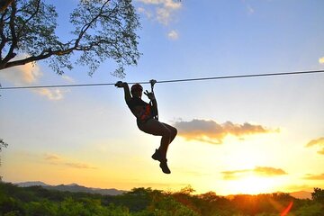 Customizable Zipline Adventure 
