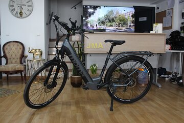 E-Bike Electric Bicycle Rental