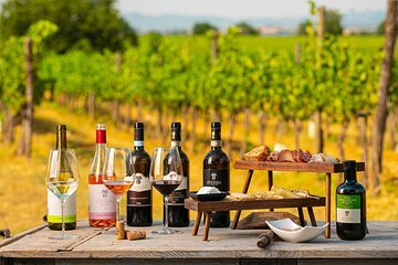 Taste of Prague: Wine Tasting Experience in Czechia