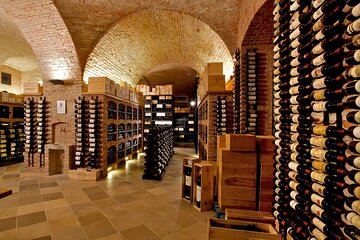 Vienna's Wine Culture: Wine Tasting From Grapes to Your Glass