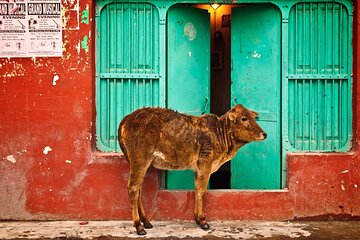 Private Best Old and New Delhi Tour