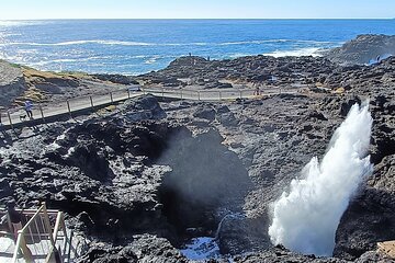 Escape Sydney: Sea Cliff Bridge, Blowhole, Beaches Private Tour 