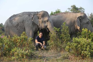 Kulen Elephant Forest & Kampong Phluk by Private Tour