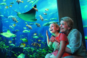 Grand Aquarium Discovery with Tickets & Transfer From Hurghada 