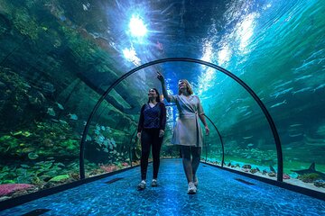 Grand Aquarium Discovery with Transfer from Hurghada 