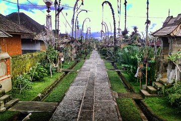 Bali Ubud and Kintamani Sightseeing Tour 