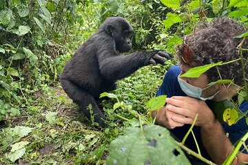 12-Day Moderately Priced Pearl of Africa - Uganda Private Safari