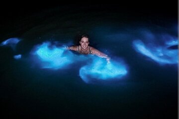 Luminous lagoon Dark night Tour from Ocho Rios and Runaway Bay Hotels 