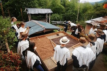 Private Tour to Coffee Farm (farm of your choice)