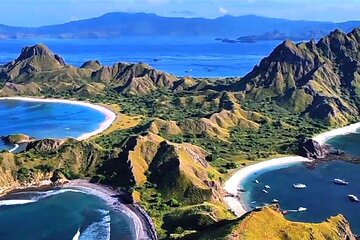 Full Day Sharing Speed Boat Trip to Komodo National Park 