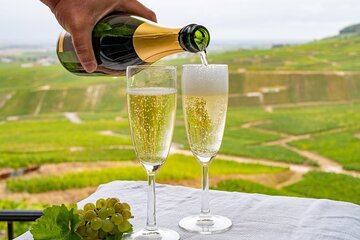 Full-Day Private Champagne Tasting in Reims and its Vineyards