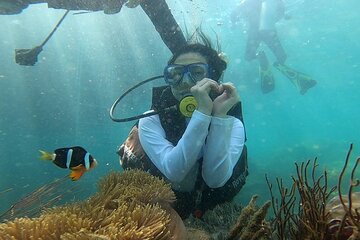 Coral Reef Snorkeling and Floating Bar Party from Nha Trang