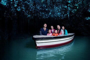 Waitomo Glowworm Cave Experience - Small Group Tour from Auckland