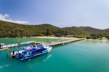 Bay of Islands Explorer Experience Small Group Tour From Auckland