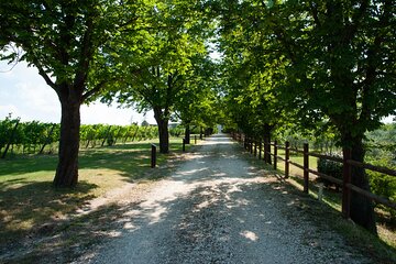 Private Tasting of Wines and Typical Products in Romagna