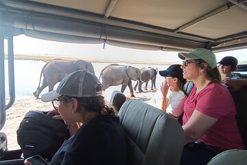 Chobe National Park Full-Day Safari Tour with Boat Ride