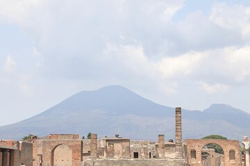 Full-Day Guided Pompeii Ruins and Wine Tasting Tour