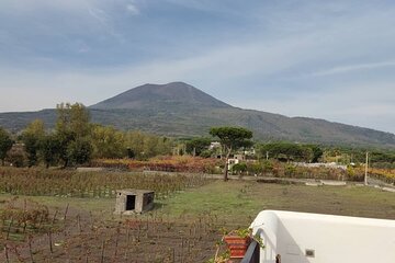 Mount Vesuvius Half Day Private Tour 