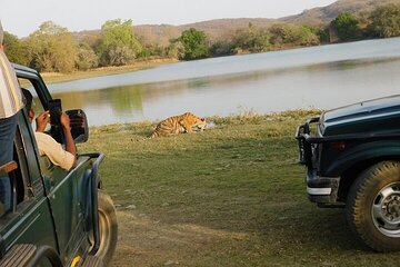 3-Hour Shared Safari in Ranthambore National Park