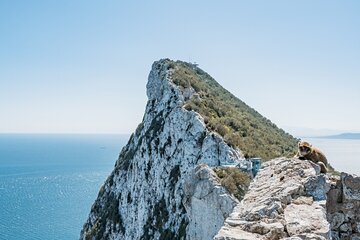 Full Day Private Tour to Gibraltar from Malaga