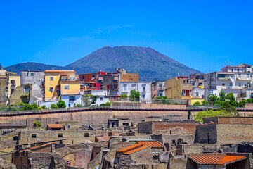 (Ercolano) Herculaneum , Half Day Private Tour