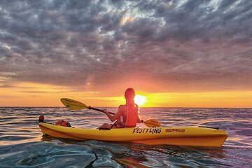 3 Hours Guided Excursions at Sunrise and Sunset at the Conero in Canoe