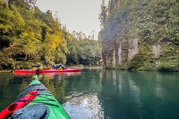 Scenic Lake McLaren Kayak Tour