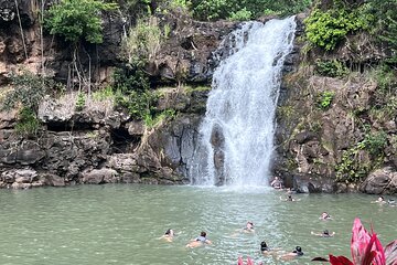 Best of Oahu's North Shore in small group (Se Habla Español)