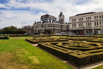 City Highlights, Larnach Castle & Peninsula Views