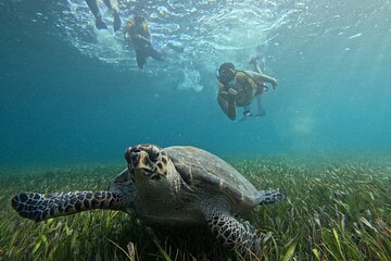Jungle Tour Adventure Cancun