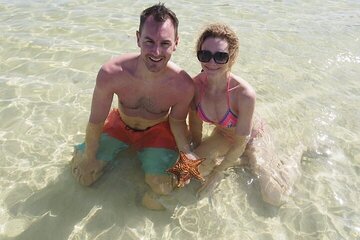 Stingrays, Starfish and Snorkeling Tour