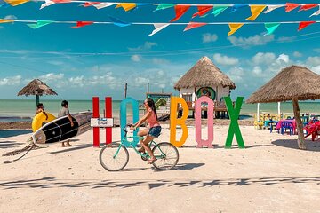 Full Day Tour of Isla Holbox and Isla Pasión with Cenote