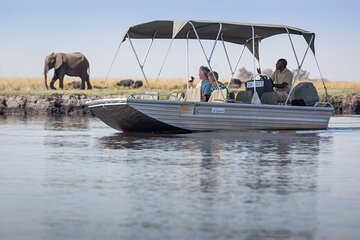 2 Days Victoria Falls & Chobe Day Safari Combo