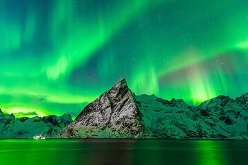 Aurora Jäger - Northern Lights Hunt in Lofoten