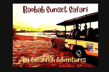 Baobab-Sunrise-Sunset-Vulture-Moonlight Safaris, 4 Options