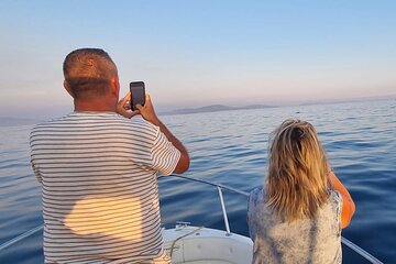 Thrilling Dolphin Encounter: Vrsar's Aquatic Safari