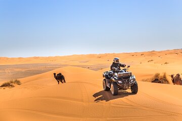 ATV-Quad Drive Adventure Agafay Desert with Transfer - Marrakesh