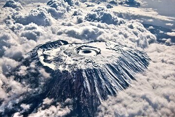 8 Day Climbing Kilimanjaro Via Lemosho Route
