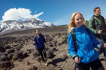 7 Day Kilimanjaro Climbing Via Lemosho Route